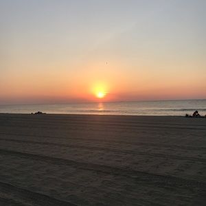 Meet your Posher, Alexia